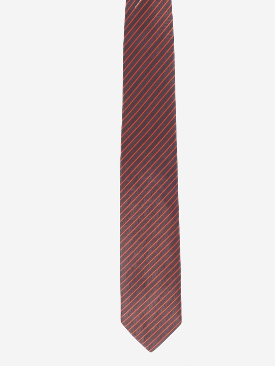 

Alvaro Castagnino Men Brown Striped