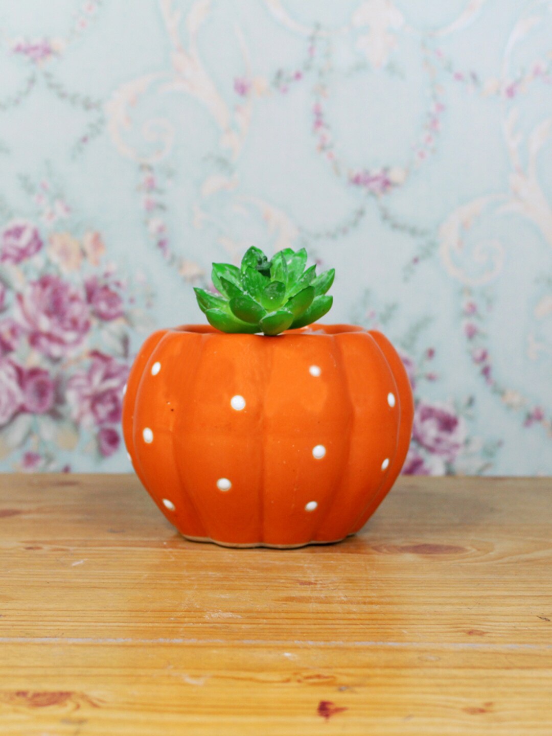

Wonderland Orange & Green Ceramic Pumpkin Garden Pot