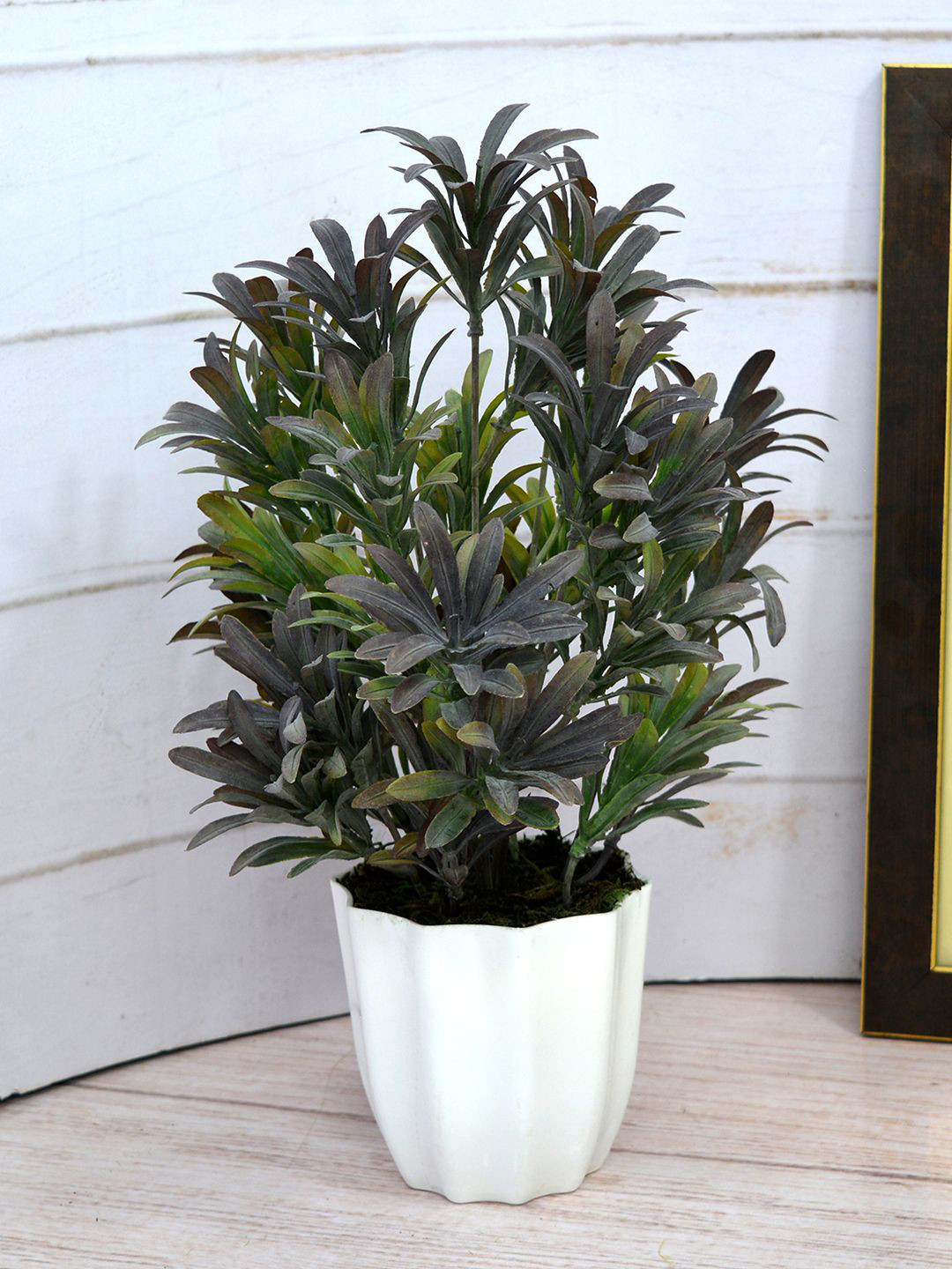 

fancy mart Black & Green Artificial Plant Euphorbia in Star Pot