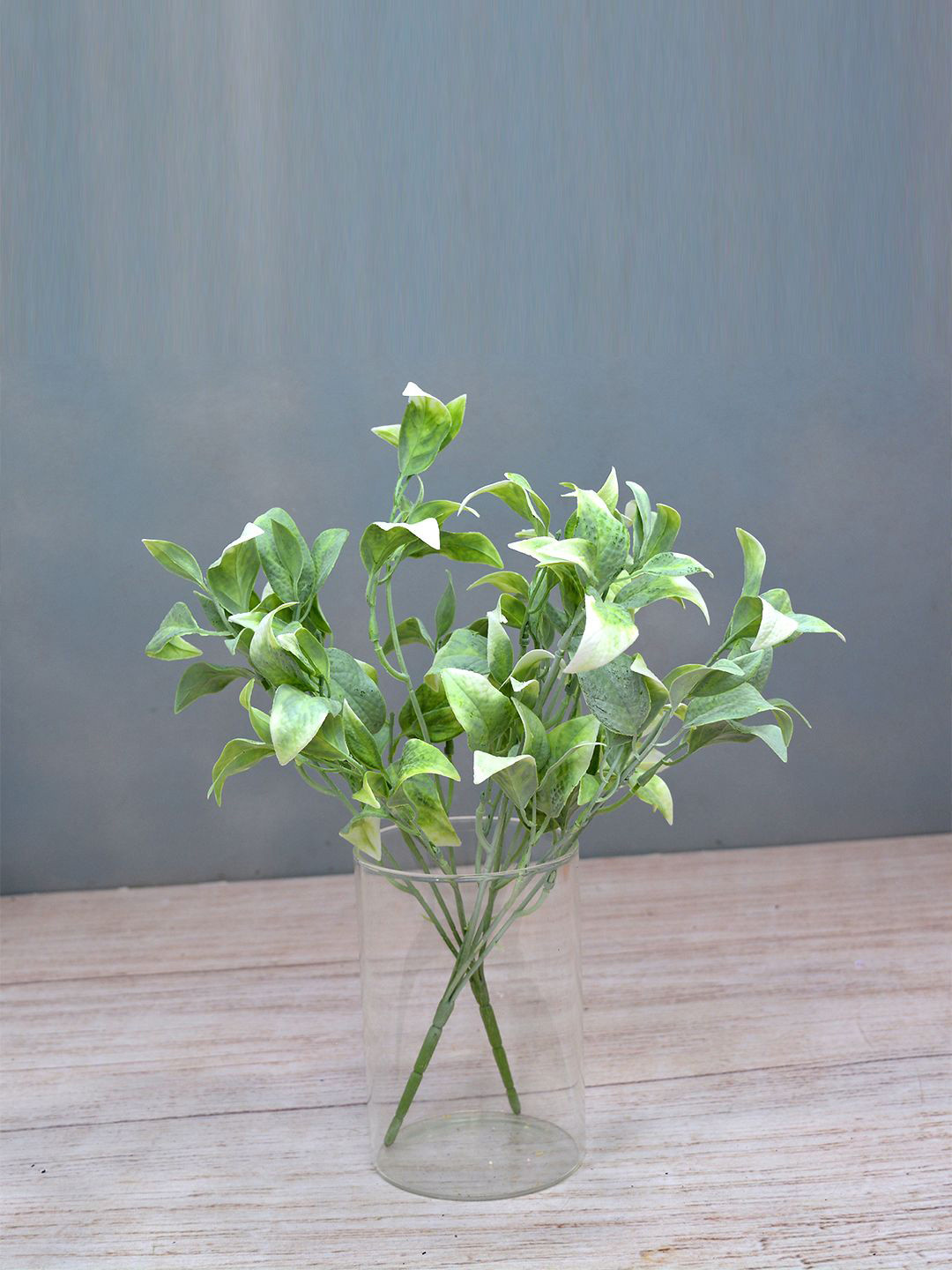 

fancy mart White & Green Set of 2 Artificial Plant Brazilian Joyweed Bunch without Pot, Grey