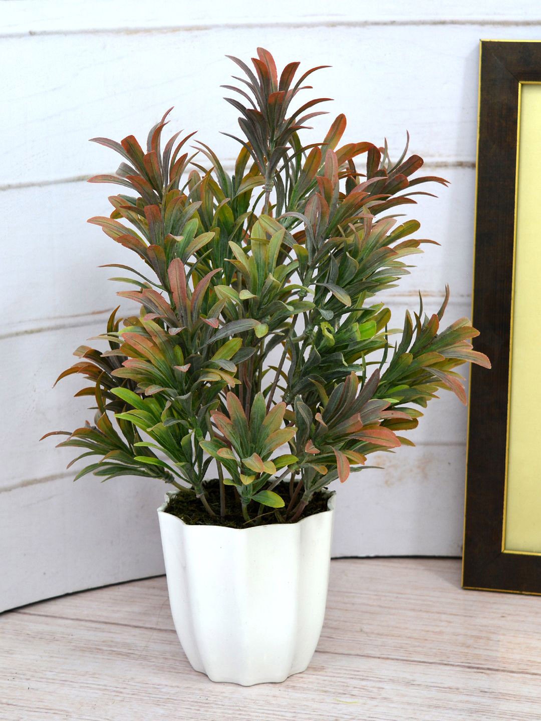 

fancy mart Green & Red Artificial Euphorbia Plant With Star Pot