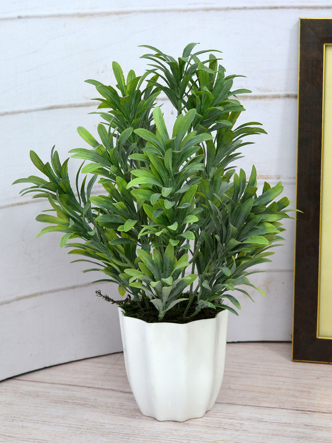 

fancy mart Green Artificial Euphorbia Plant With Star Pot
