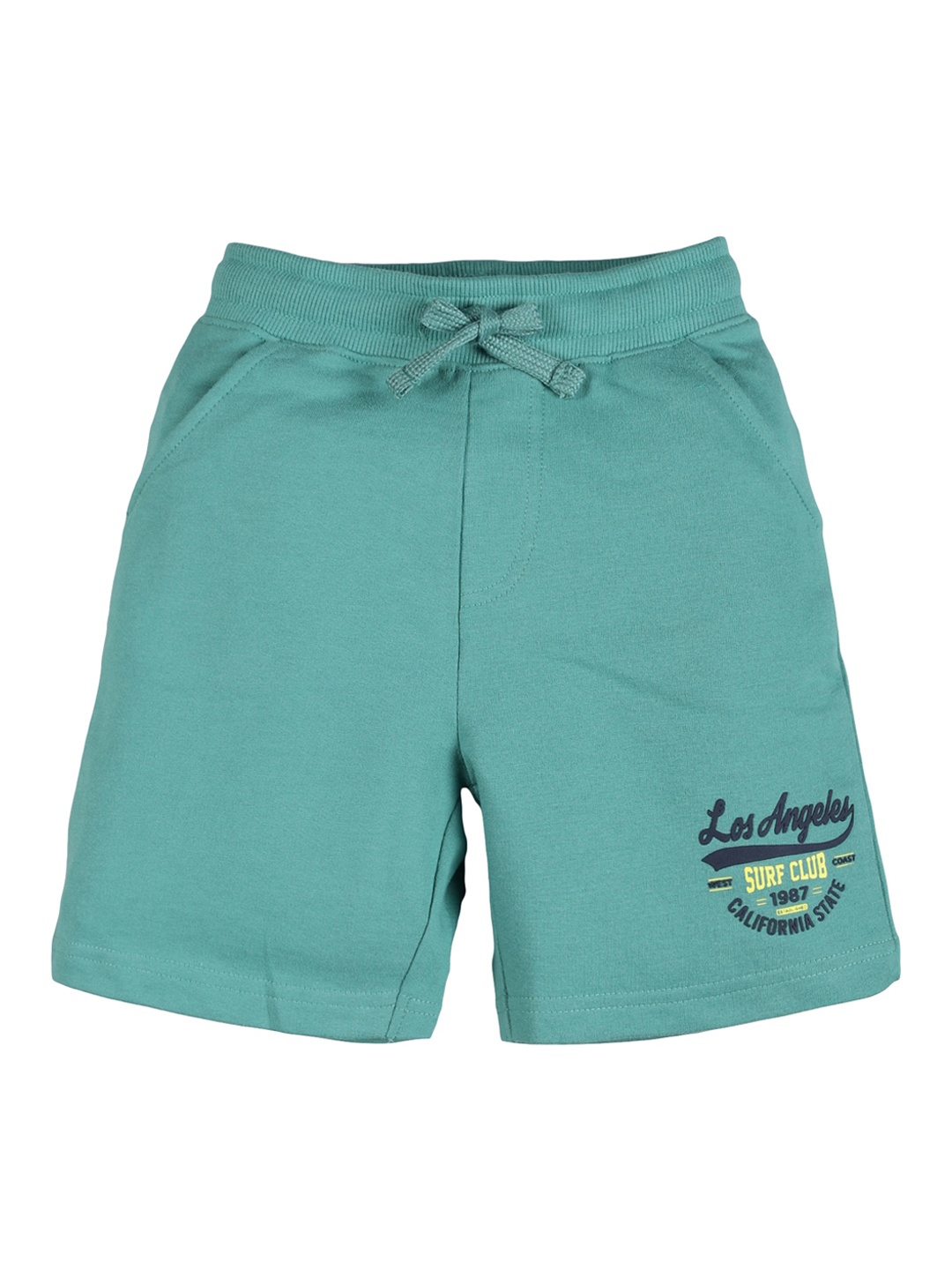 

PLUM TREE Boys Green Regular Shorts
