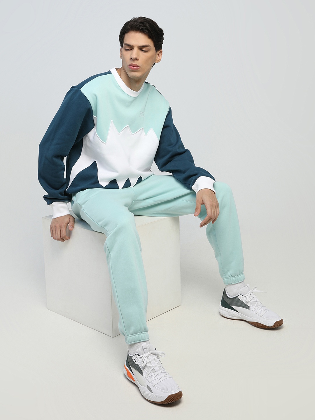 

PUMA Hoops Men Teal Blue & Sea Green Colourblocked Enrollment Round Neck Sweatshirt