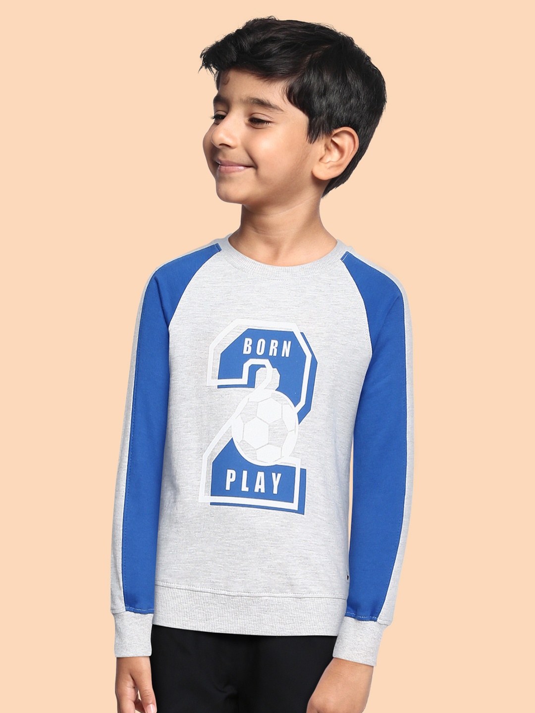 

Miss & Chief Boys Grey Printed Sweatshirt