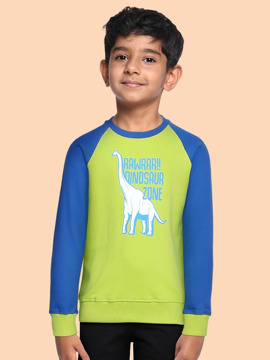 

Miss & Chief Boys Green Printed Sweatshirt
