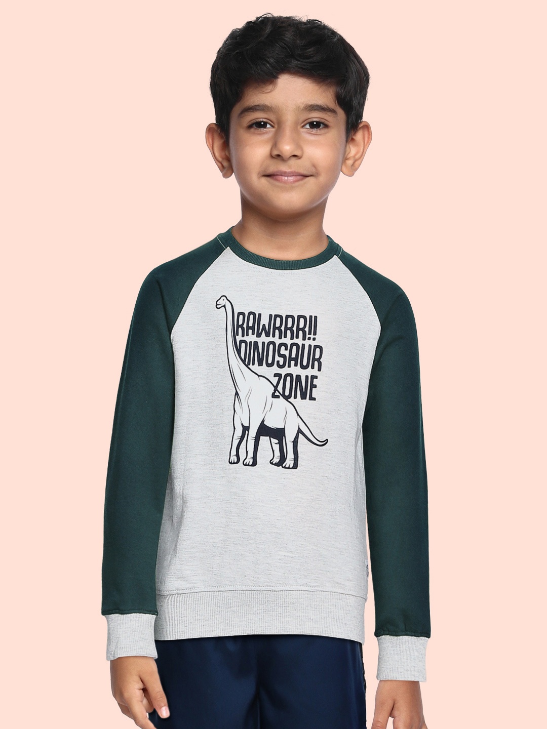 

Miss & Chief Boys Grey Melange Printed Sweatshirt