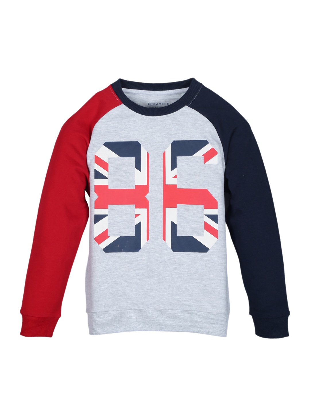 

PLUM TREE Boys Grey Printed Sweatshirt