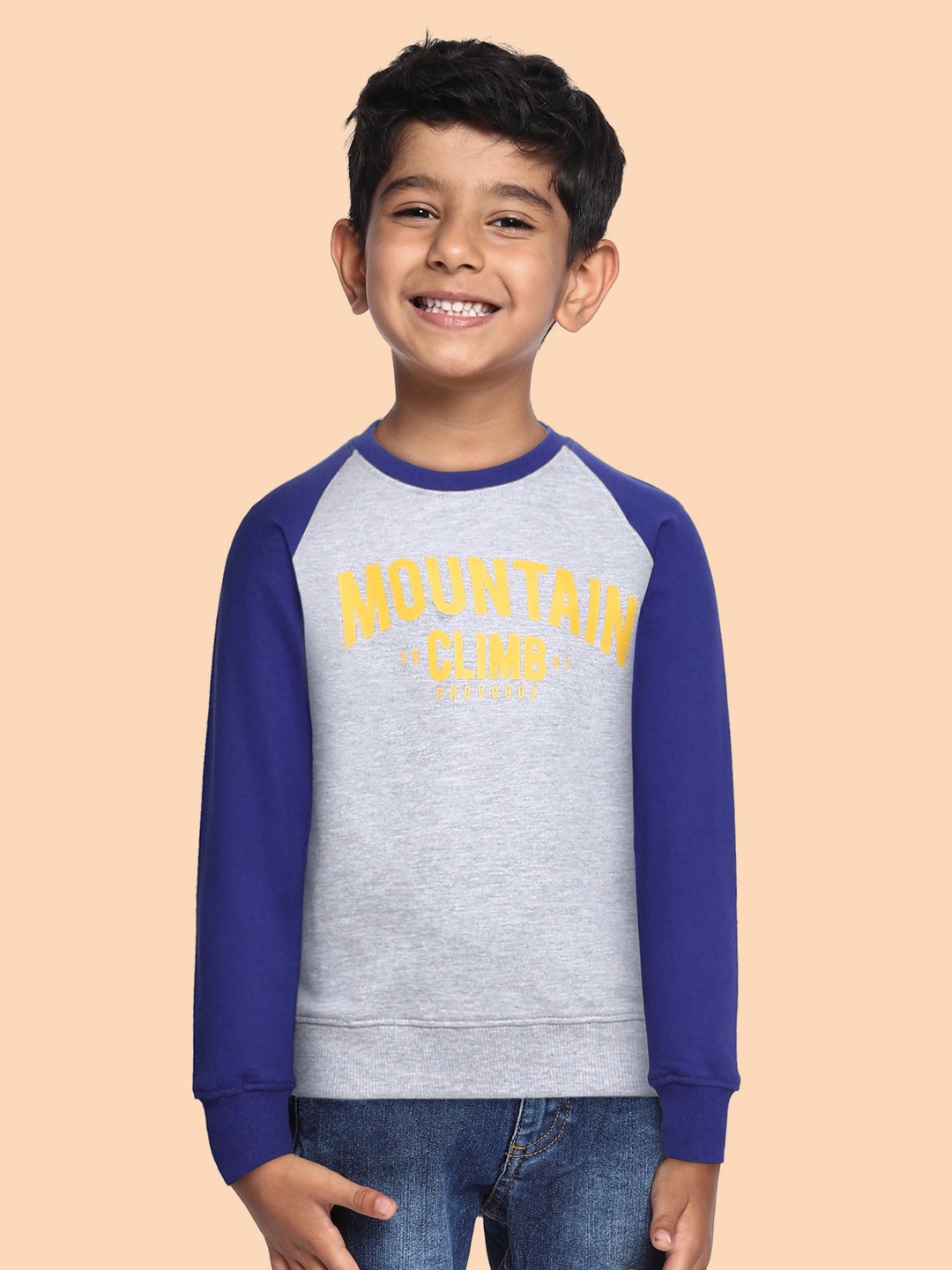 

Provogue Boys Grey Melange & Blue Colourblocked Sweatshirt