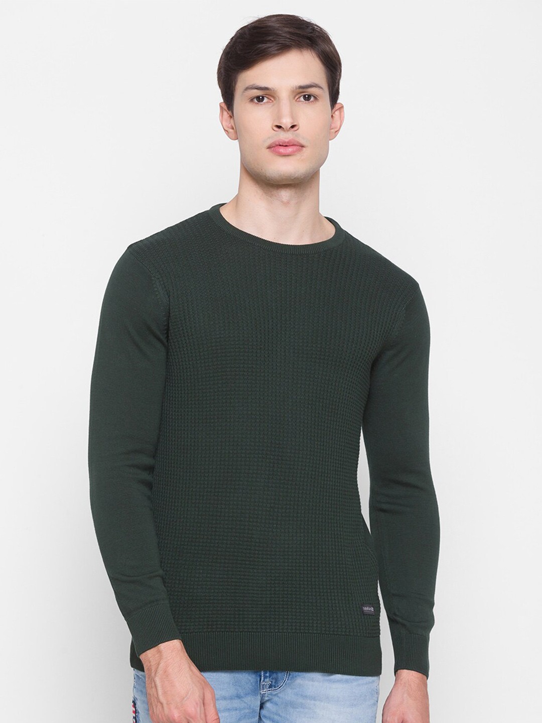 

SPYKAR Men Green Printed Pullover Pure Cotton Sweater
