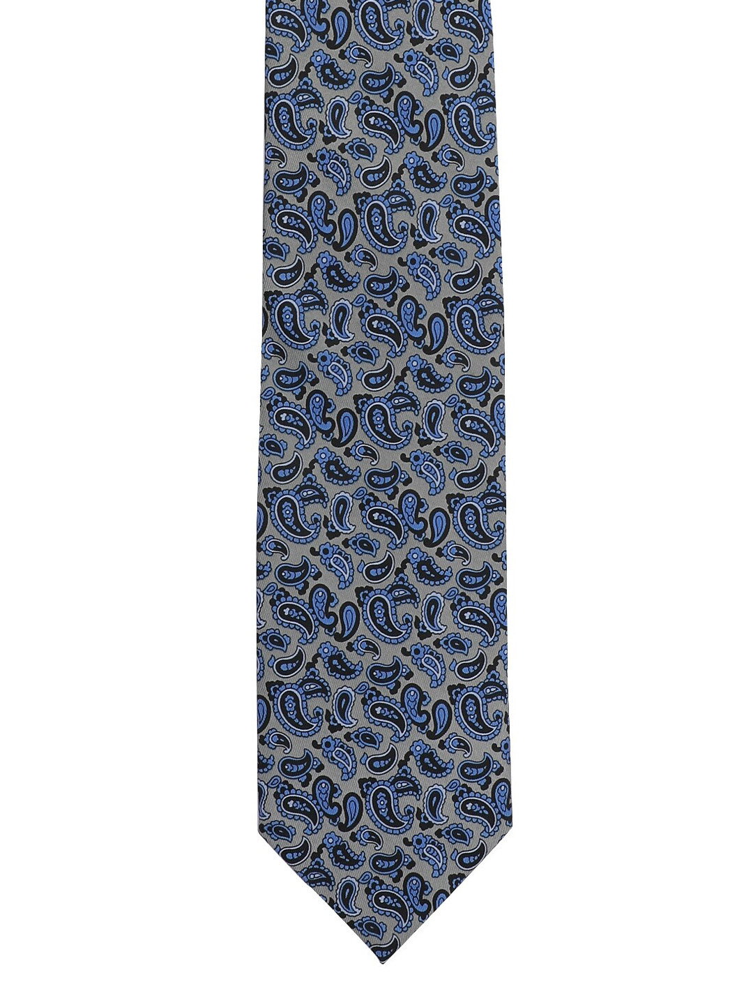 

Alvaro Castagnino Men Blue & Grey Printed Broad Tie