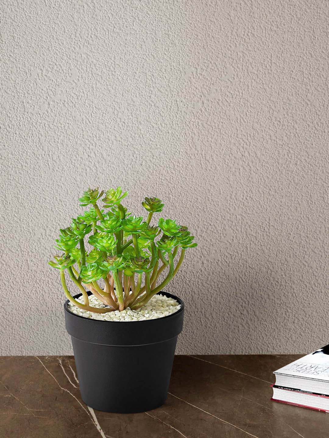 

Living scapes by Pantaloons Green & Black Artificial Plant with Pot