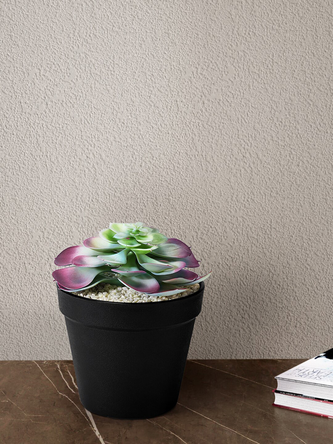 

Living scapes by Pantaloons Black Textured Planter