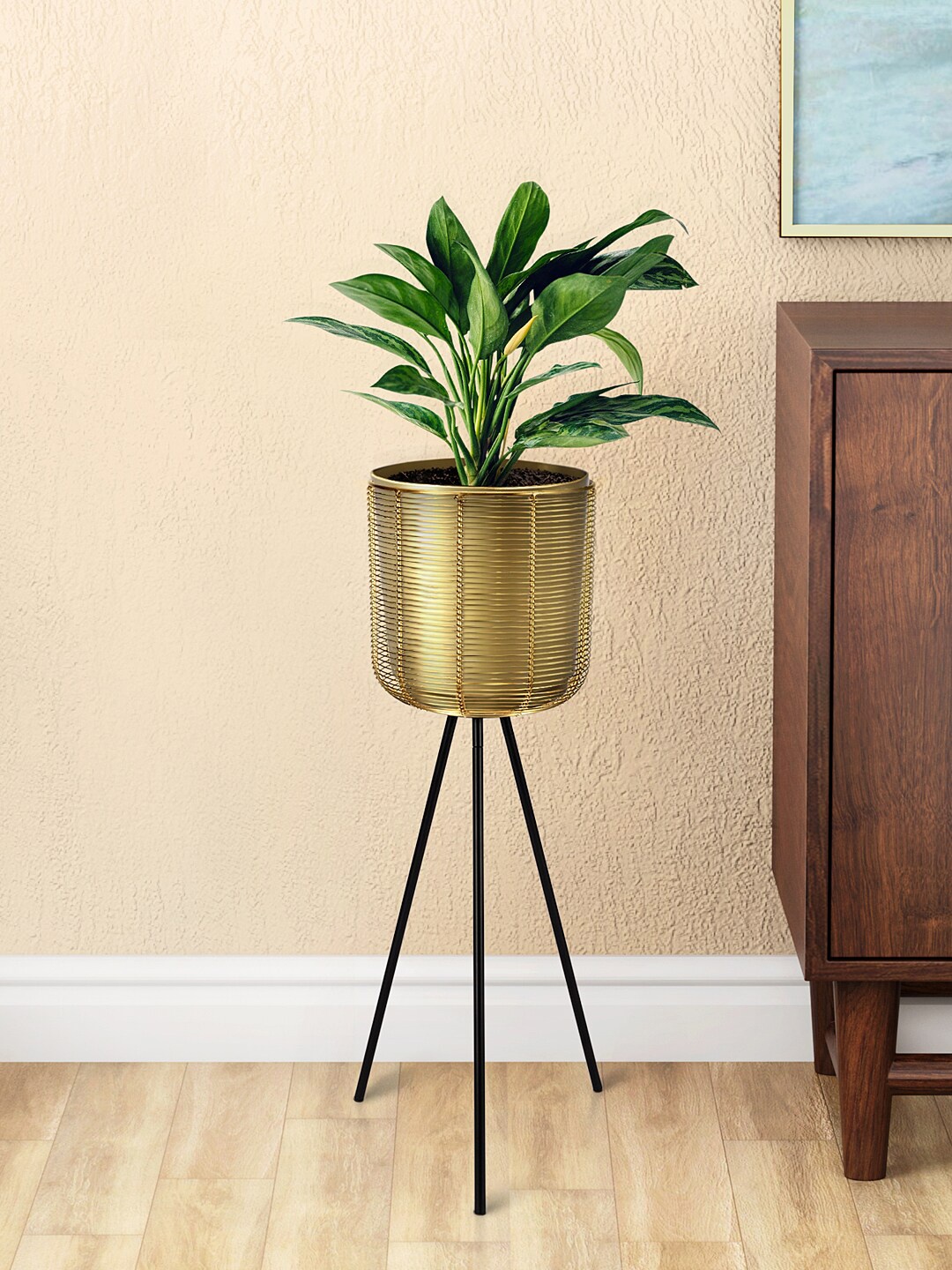

Living scapes by Pantaloons Gold-Toned Solid Mesh Planter