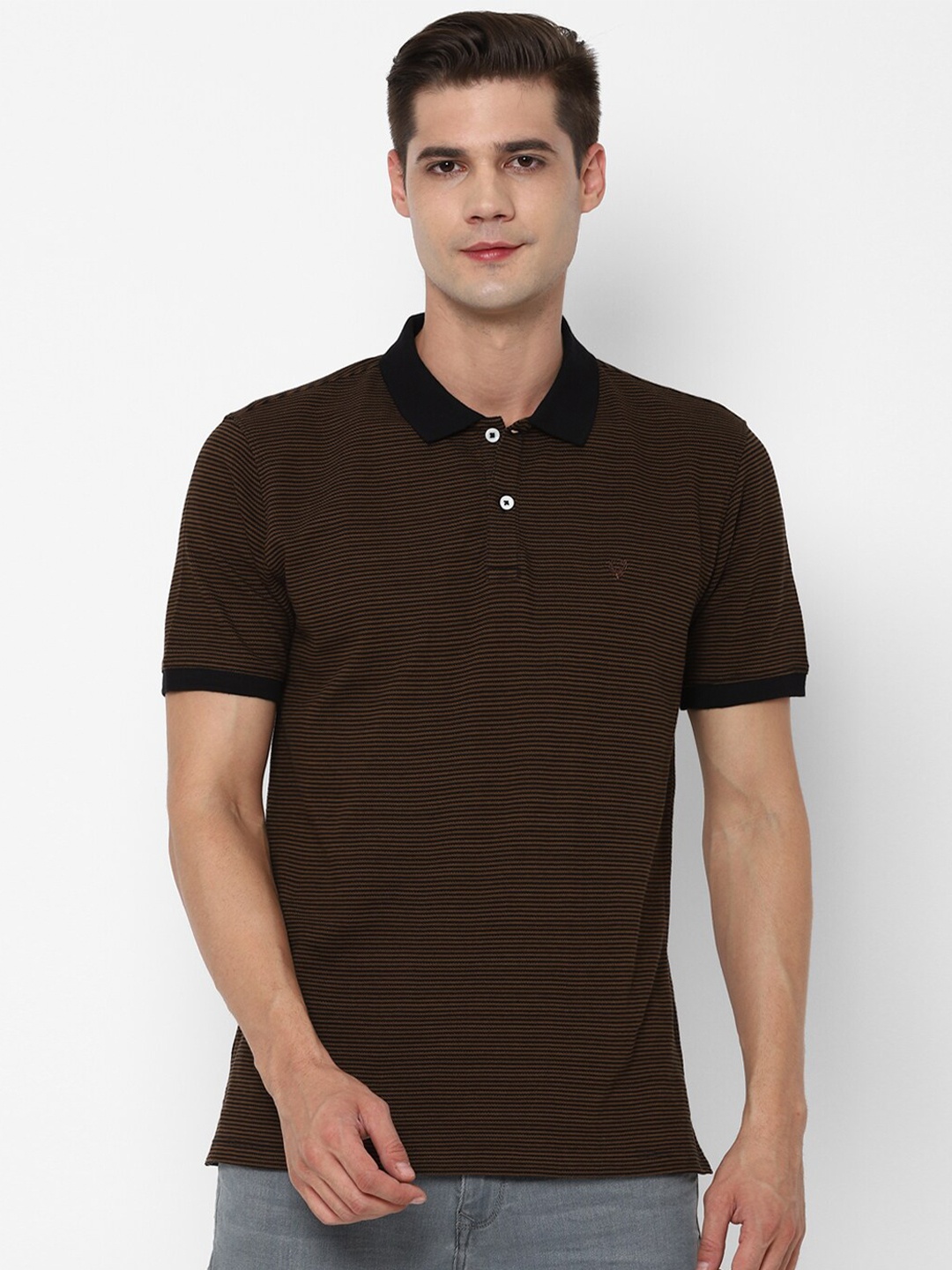 

Allen Solly Men Brown Striped Polo Collar T-shirt