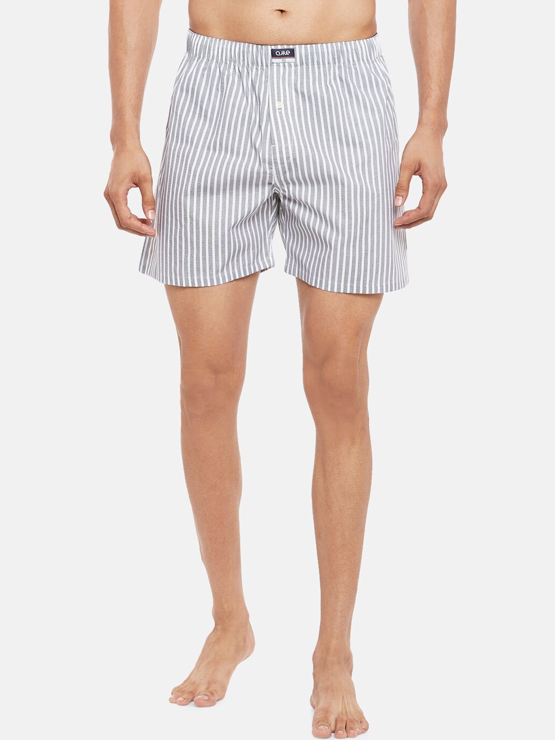 

Ajile by Pantaloons Men Grey & White Striped Pure Cotton Boxers 8905172759843