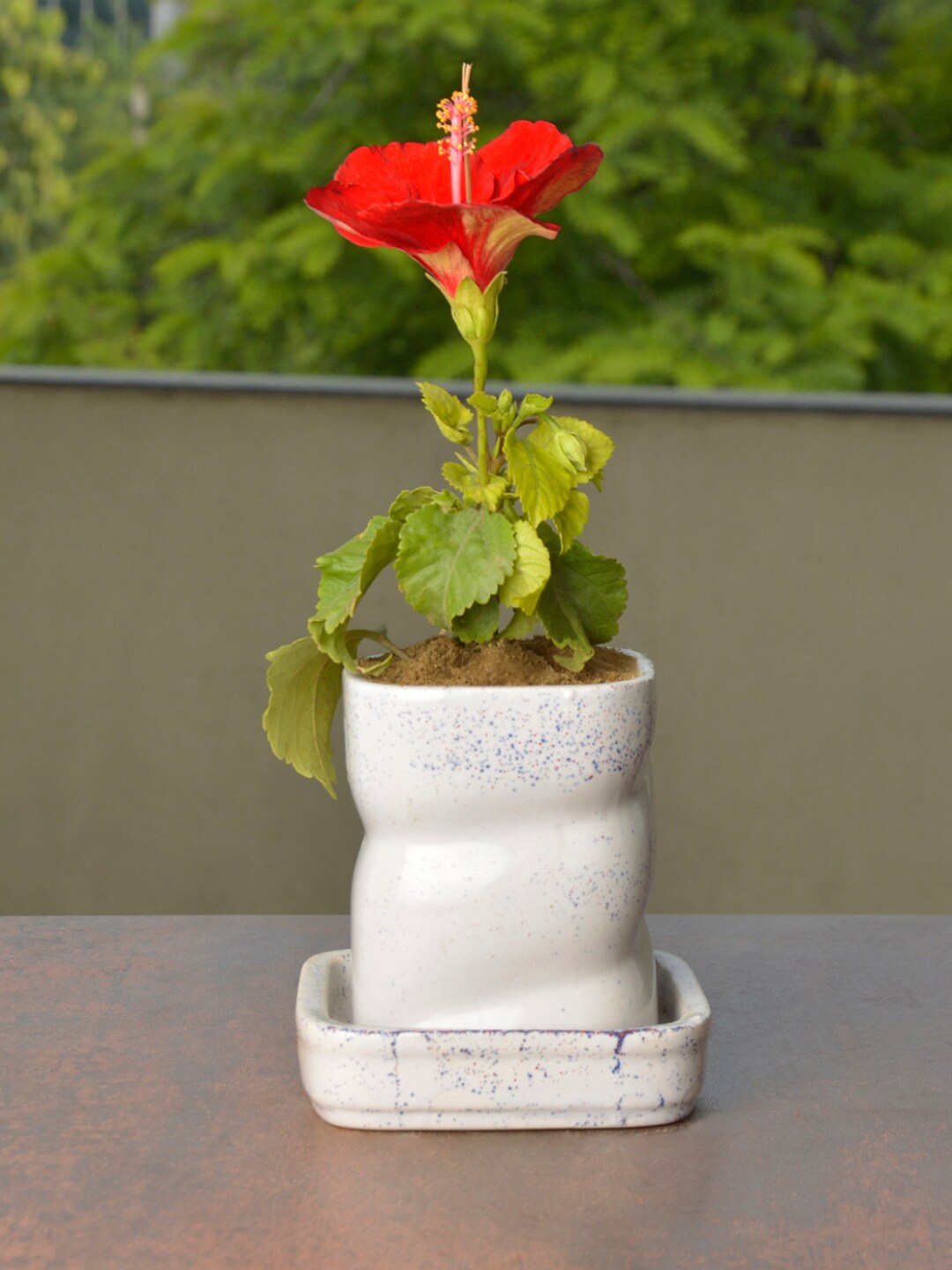

StyleMyWay White & Blue Printed Ceramic Planter Pot With Tray