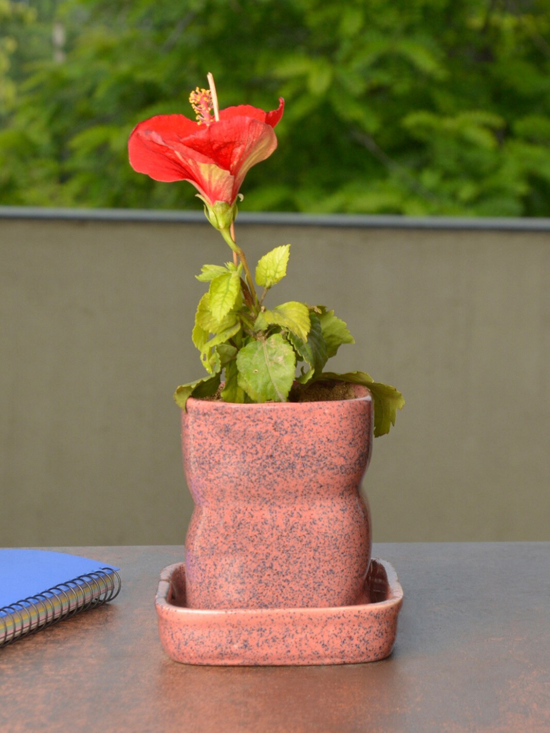 

StyleMyWay Peach- Coloured Printed Ceramic Planters