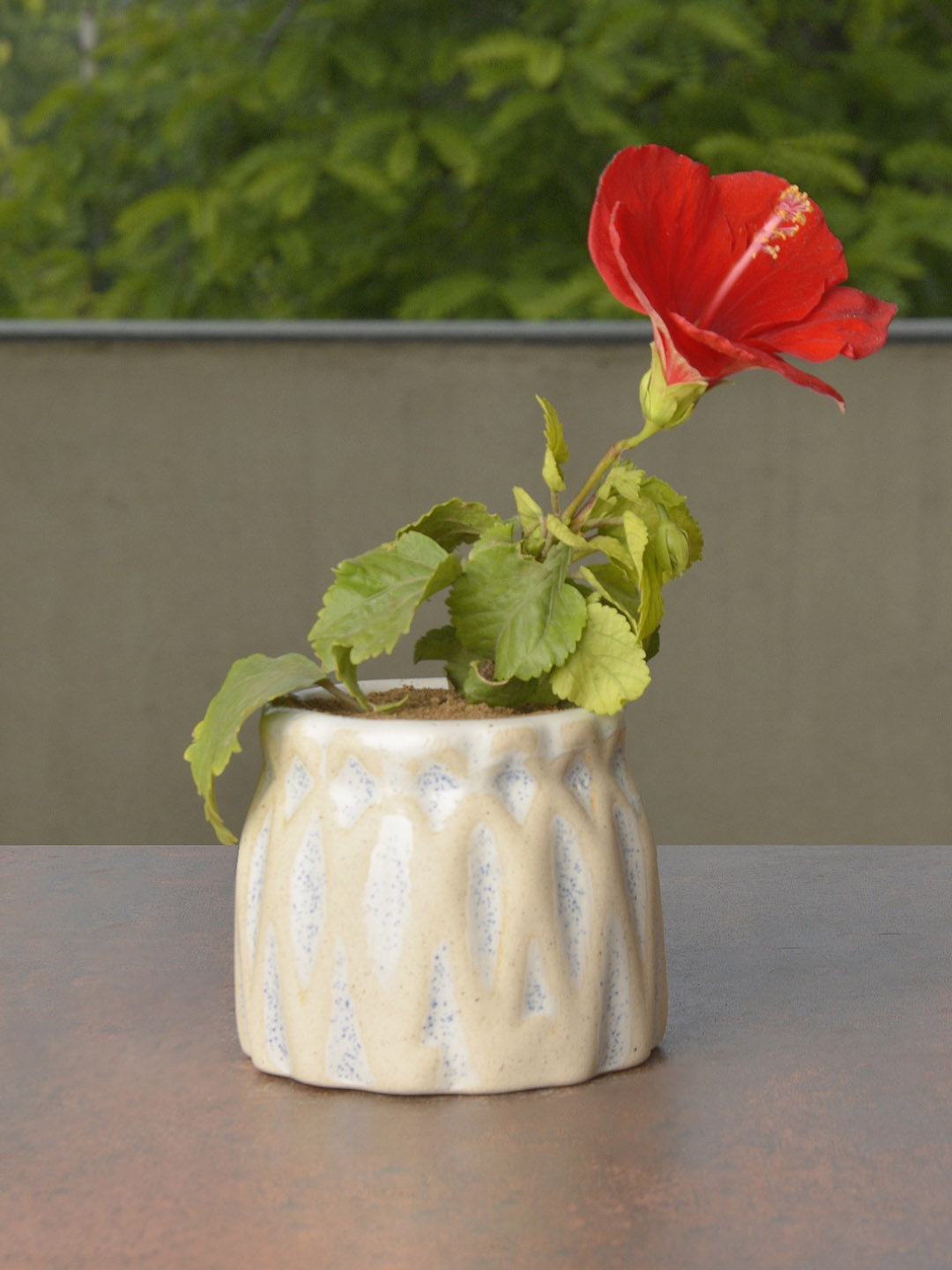 

StyleMyWay Beige & Red Ceramic Planter Pot