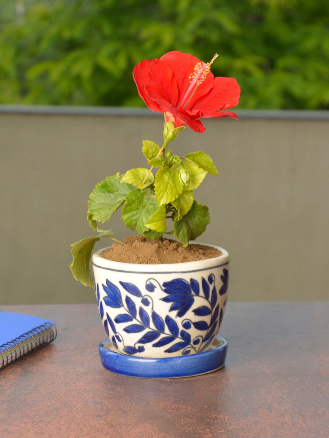 

StyleMyWay White & Blue Floral Planter Pot With Tray