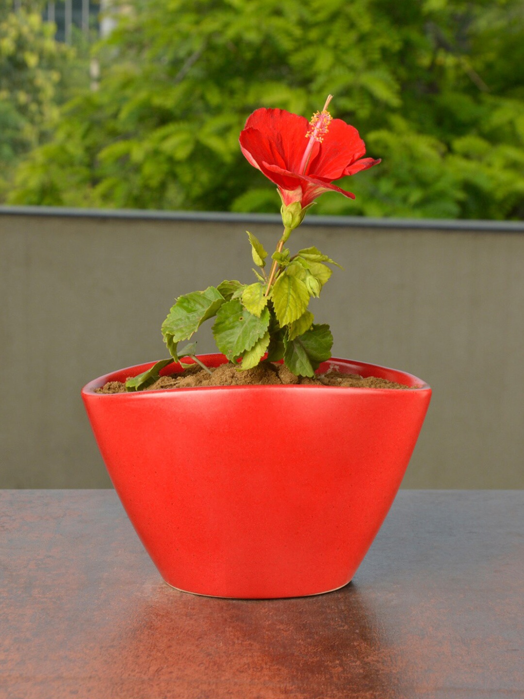 

StyleMyWay Red Hand Painted Ceramic Planter Pot