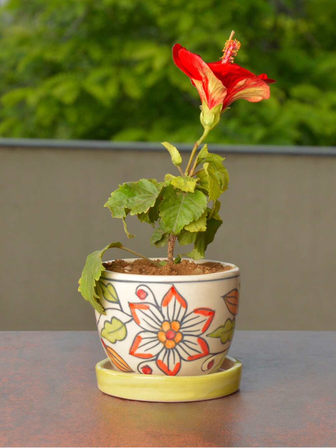 

StyleMyWay White & Yellow Printed Ceremic Planter With Tray