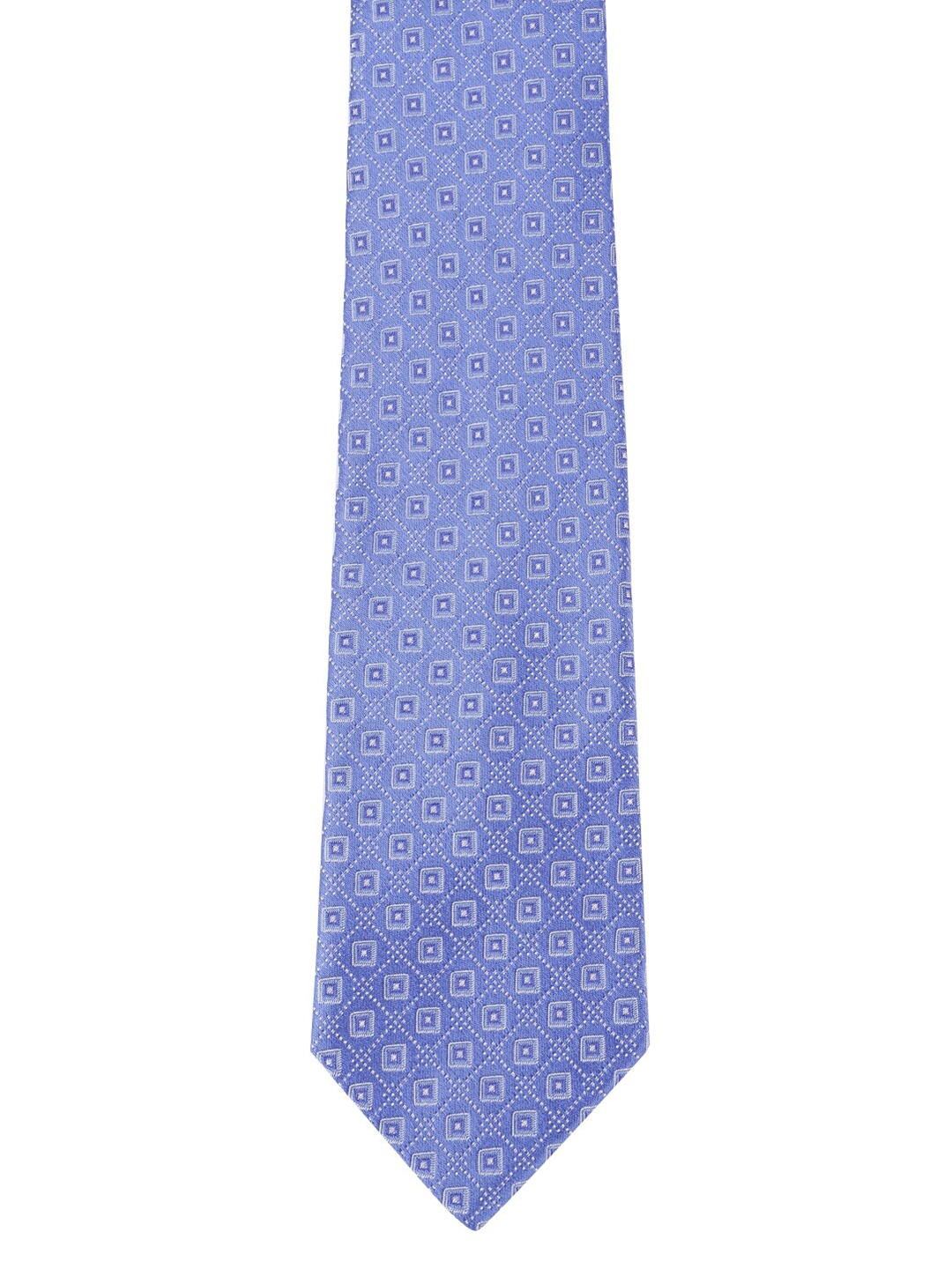

Alvaro Castagnino Men Blue Printed Necktie