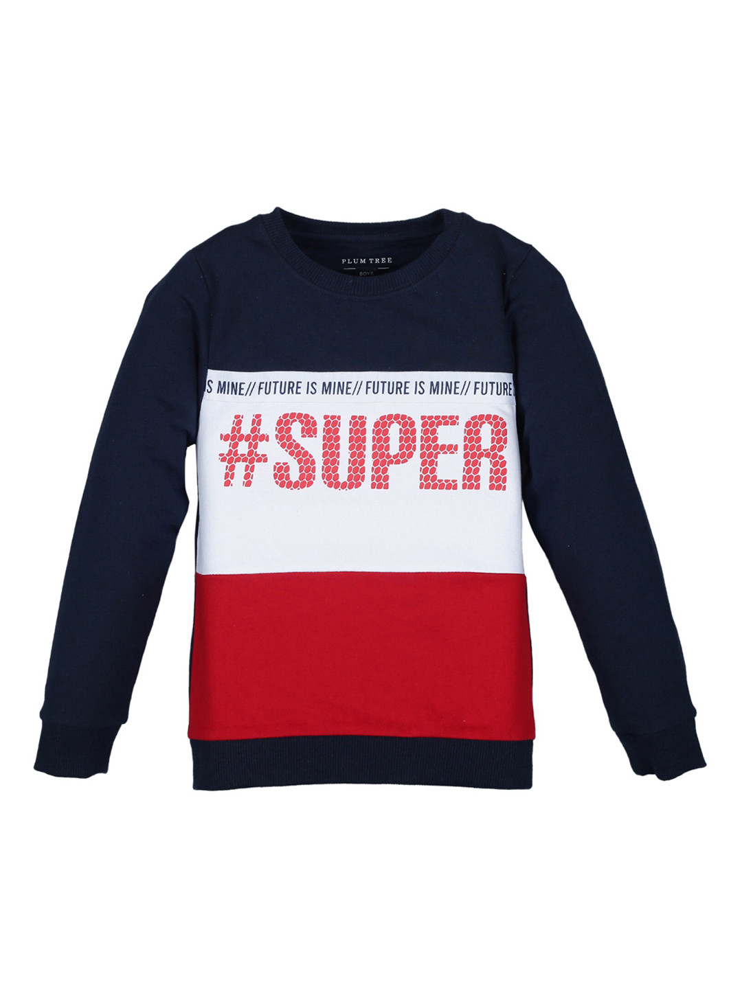 

PLUM TREE Boys Navy Blue Colourblocked Sweatshirt