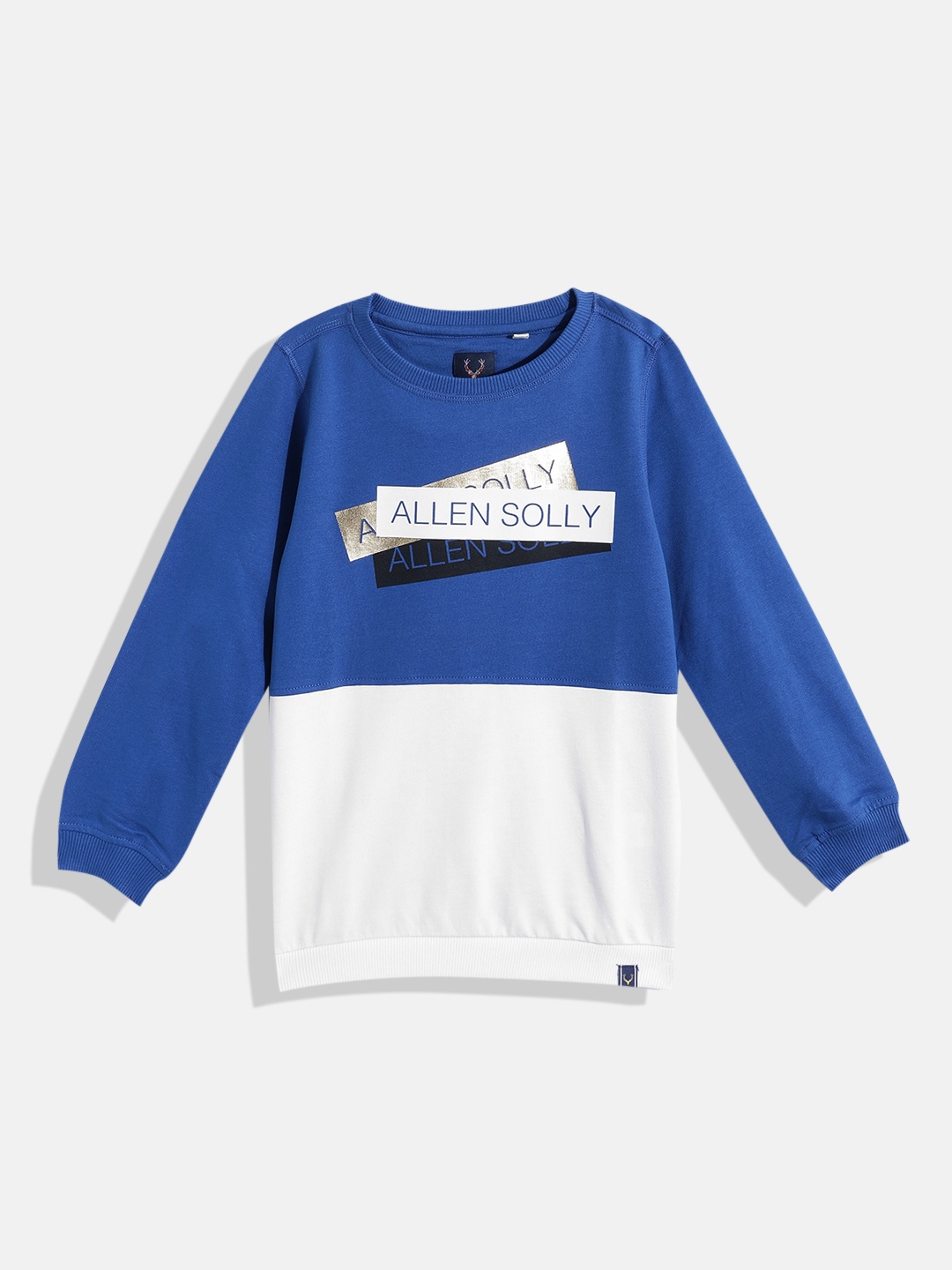 

Allen Solly Junior Boys Colourblocked Sweatshirt, Blue