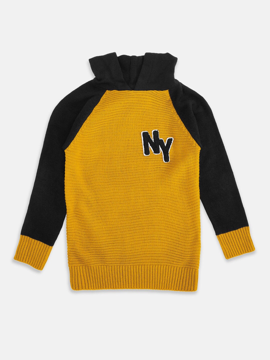 

Pantaloons Junior Boys Yellow & Black Colourblocked Pullover