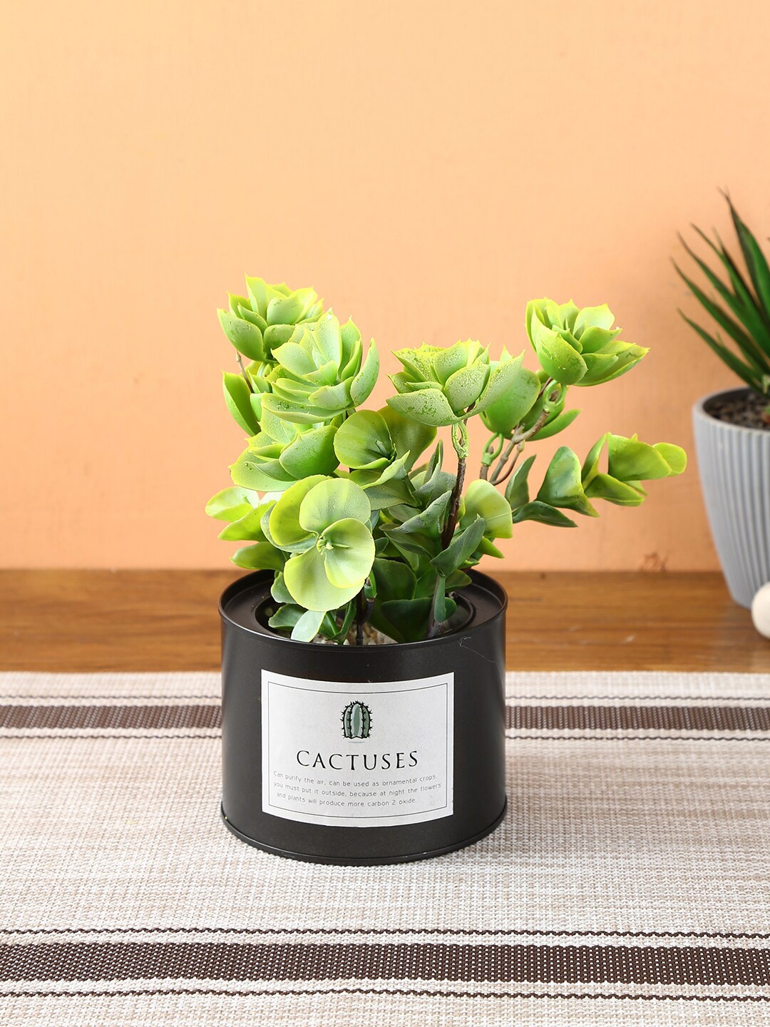 

TAYHAA Green & Black Artificial Cactus Plant With Metal Pot