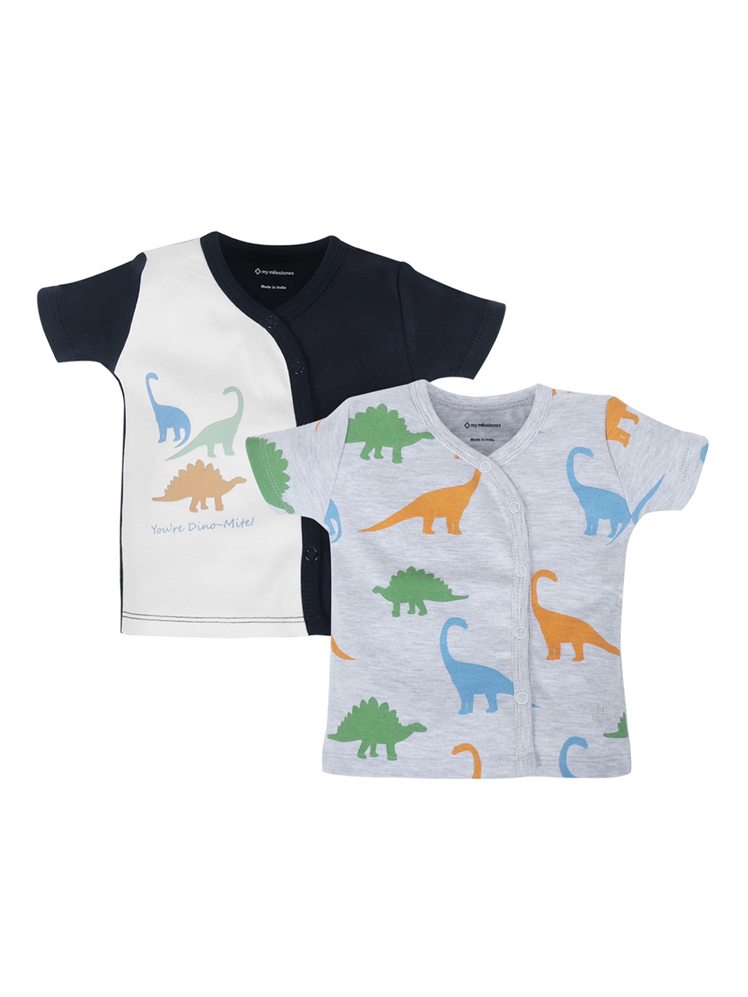 

My Milestones Infants Boys Grey 2 Printed V-Neck T-shirt