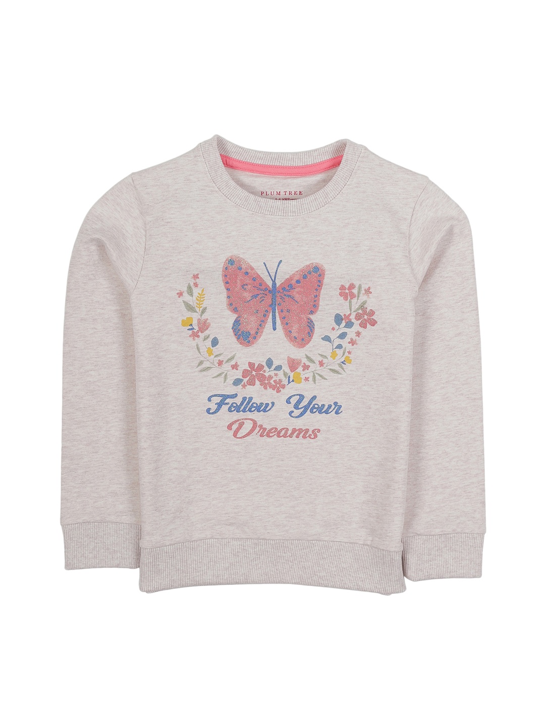 

PLUM TREE Girls Grey Melange Printed Non Hooded Sweatshirt