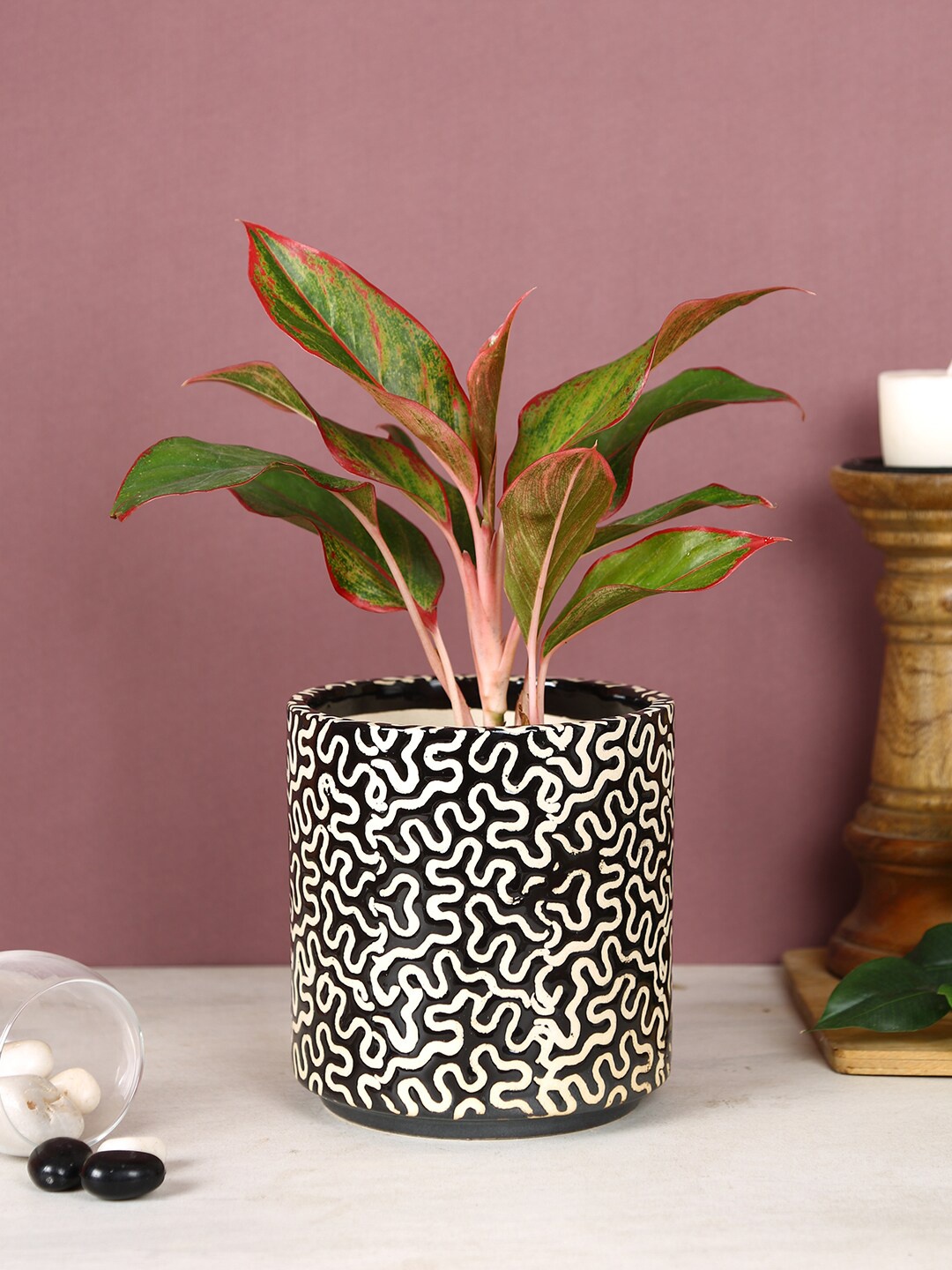 

Aapno Rajasthan Black & White Intricate Design Printed Ceramic Pot