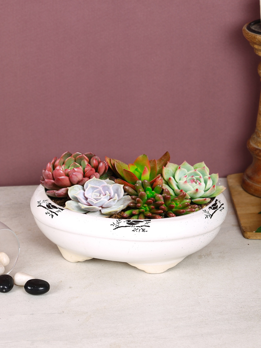 

Aapno Rajasthan White & Black Printed Ceramic Oval-Shaped Planter