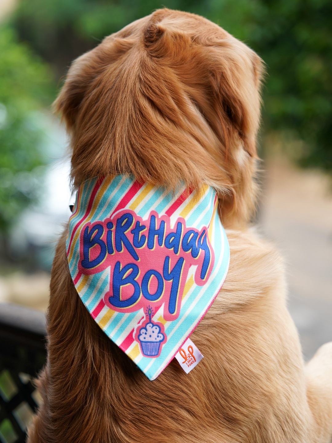 

LANA PAWS Unisex Pink & Blue Digitally Printed Dog Bandana