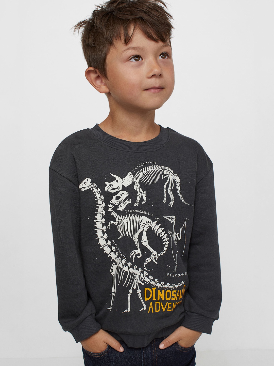 

H&M Boys Grey & White Printed sweatshirt