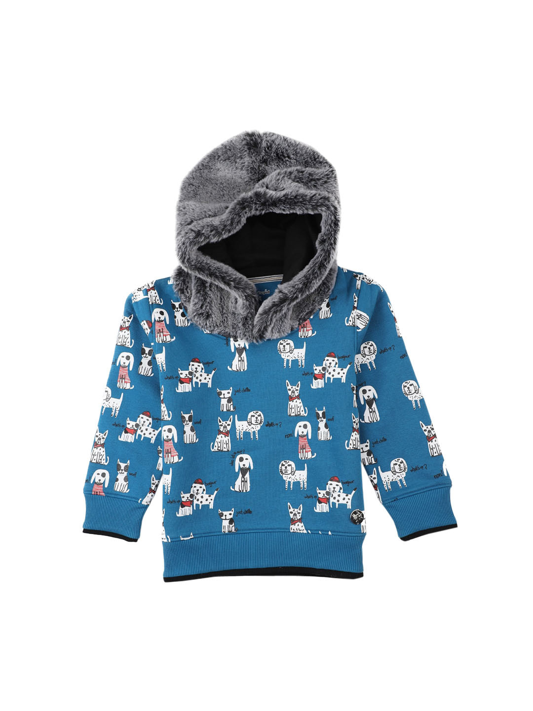 

Stupid Cupid Boys Turquoise Blue Printed Sweatshirt