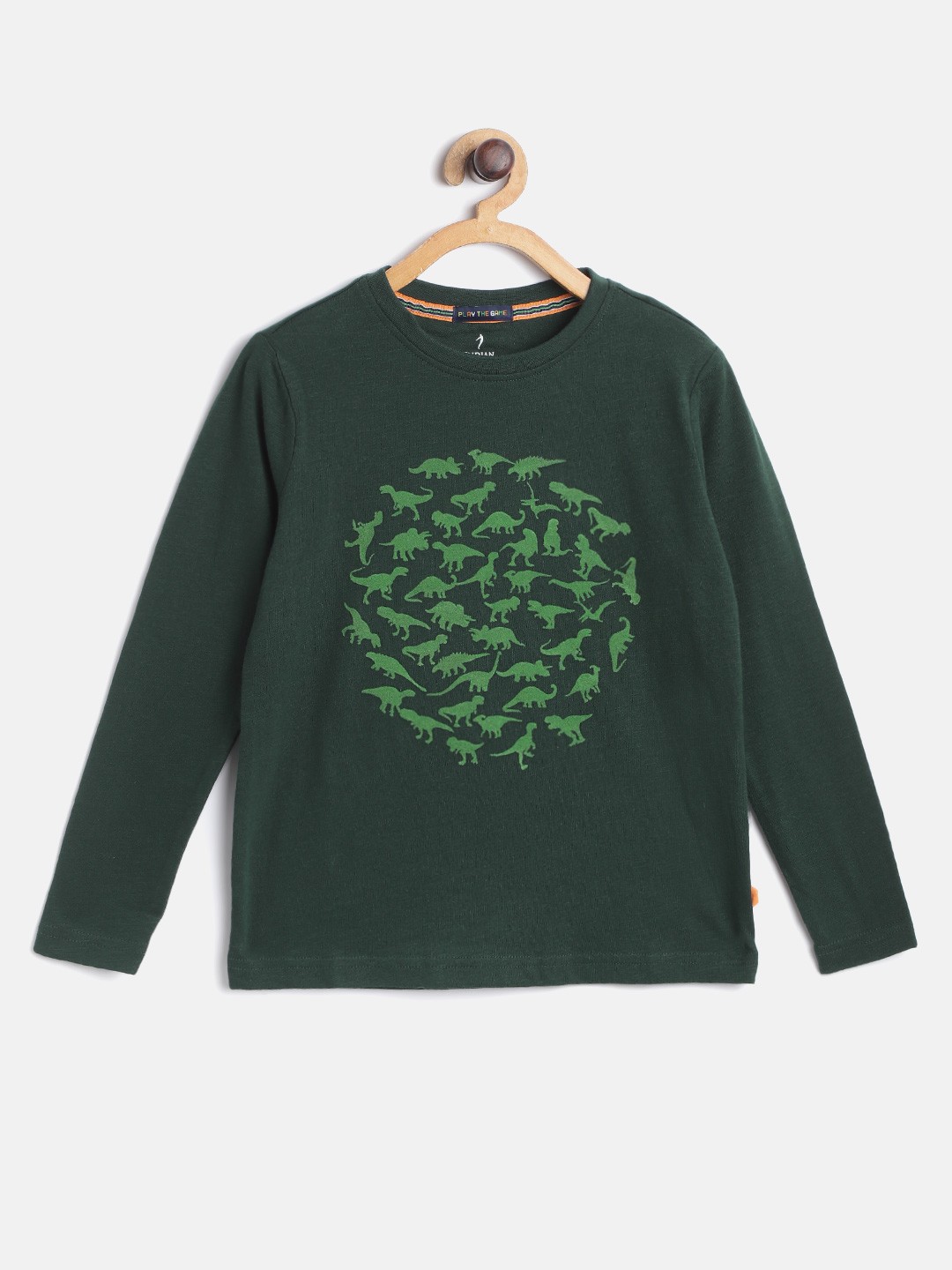 

Indian Terrain Boys Green Cotton Dinosaur Flock Print Pure Cotton T-shirt