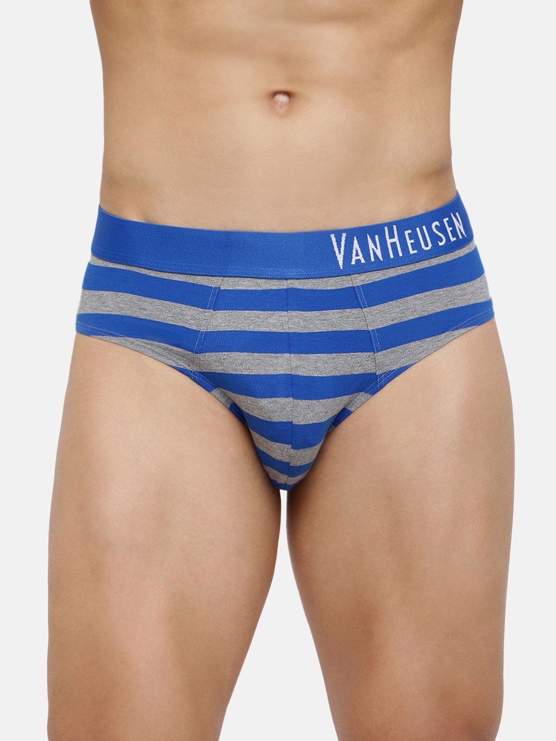 

Van Heusen Men Striped Basic Briefs, Blue