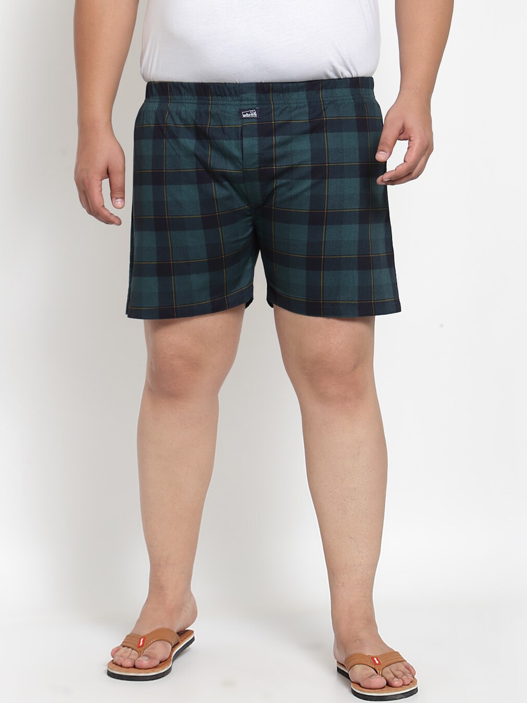 

plusS Men Teal Green Checked Pure Cotton Boxers