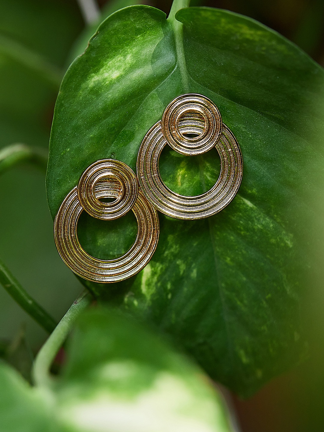 

Lilly & sparkle Gold-Plated Contemporary Drop Earrings
