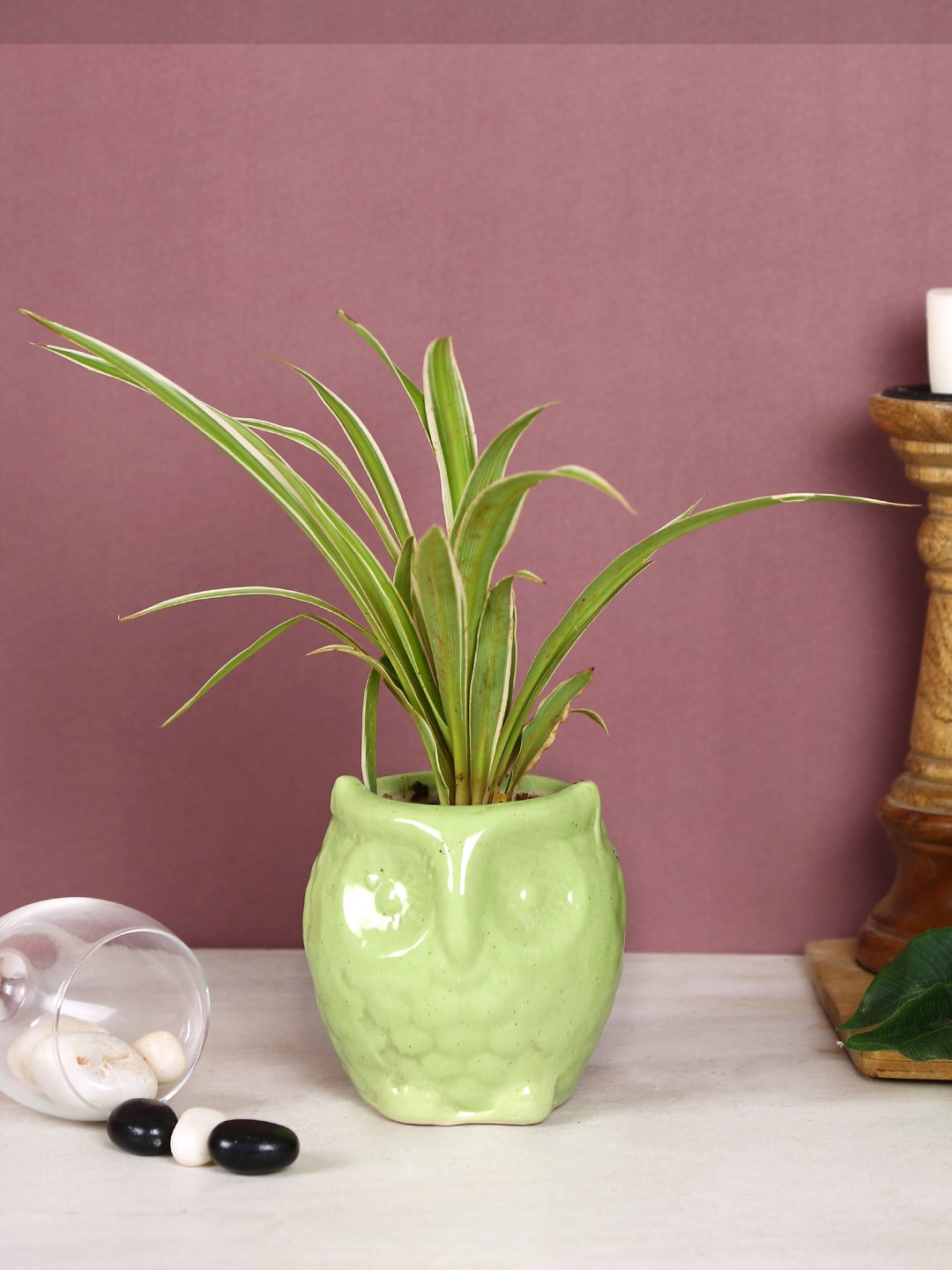 

Aapno Rajasthan Green Solid Owl Shaped Ceramic Planter