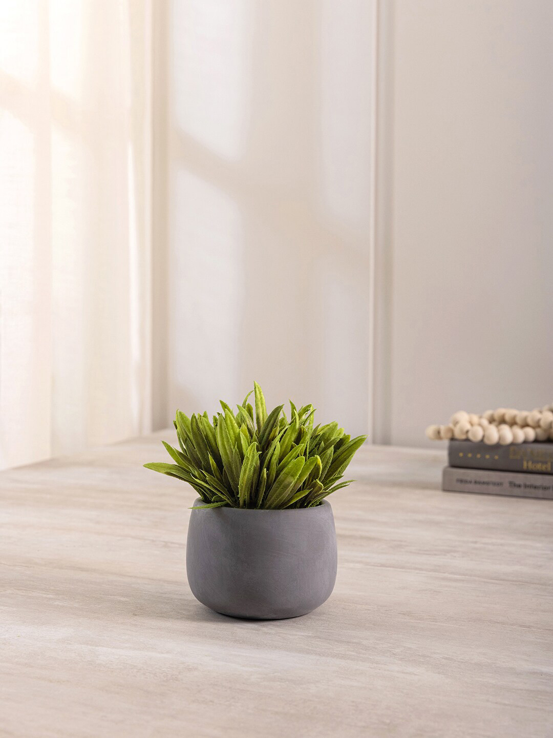 

Pure Home and Living Greenery in Cement Pot, Green