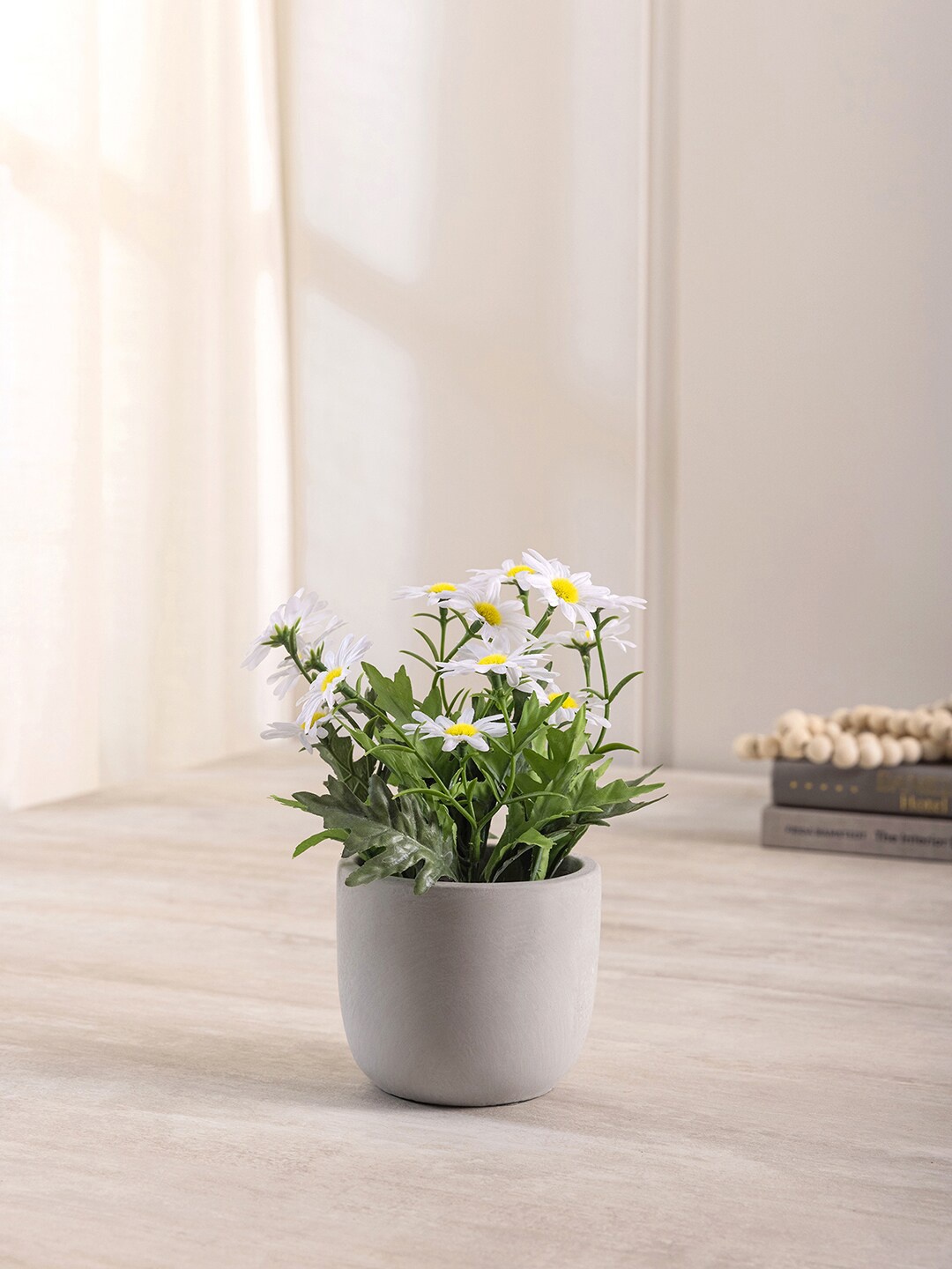 

Pure Home and Living Green & White Wild Flowers in Cement Pot