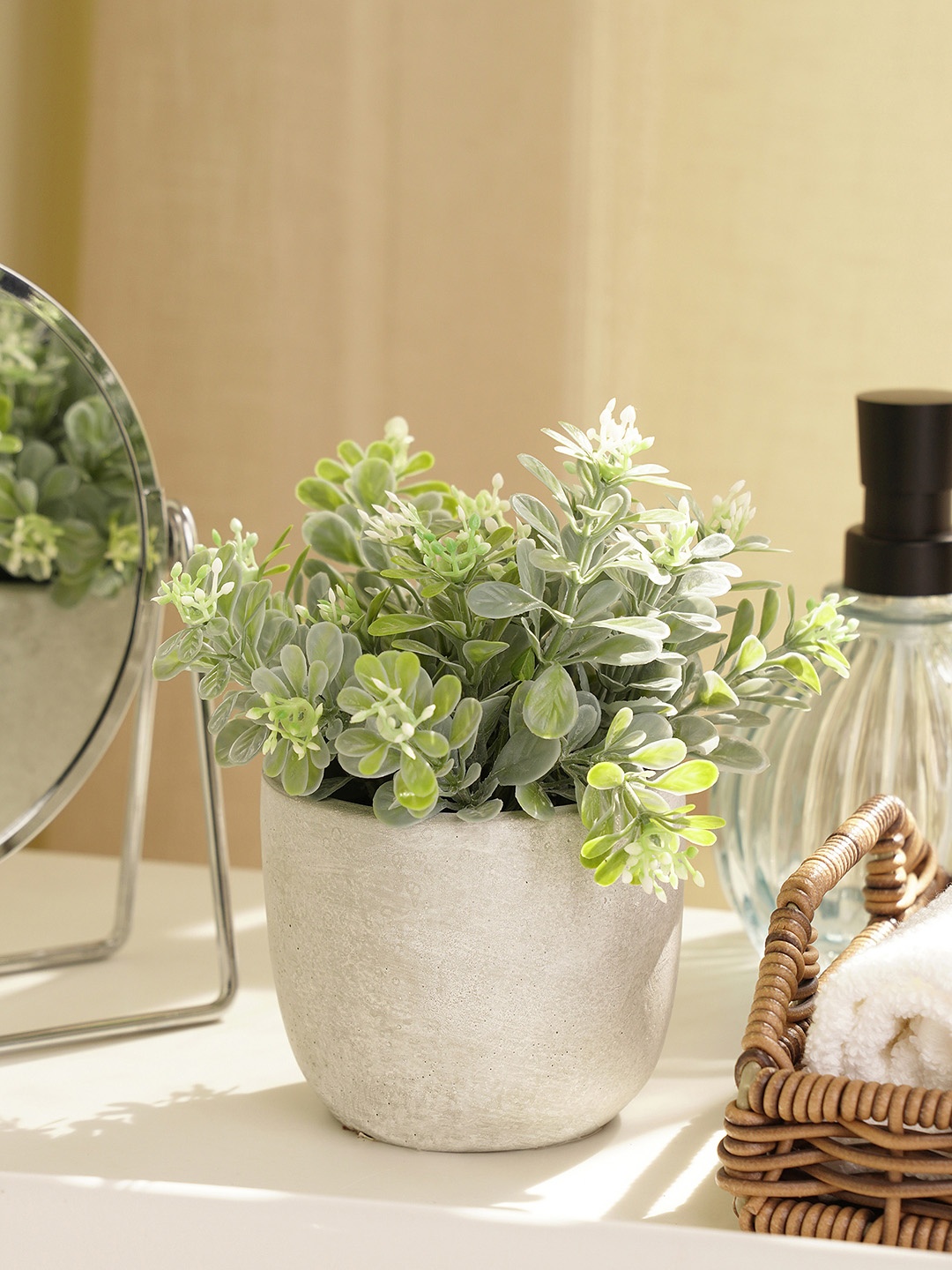 

Pure Home and Living Green Melia Azedarach in Cement Pot