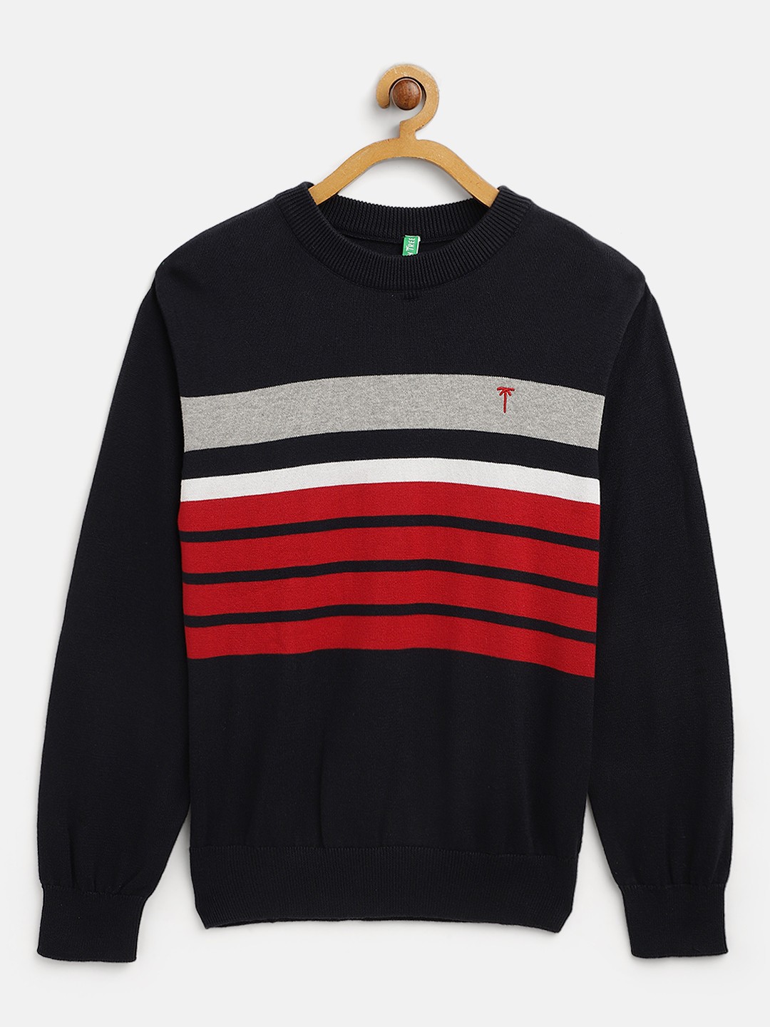 

Palm Tree Boys Navy Blue & Red Striped Cotton Pullover
