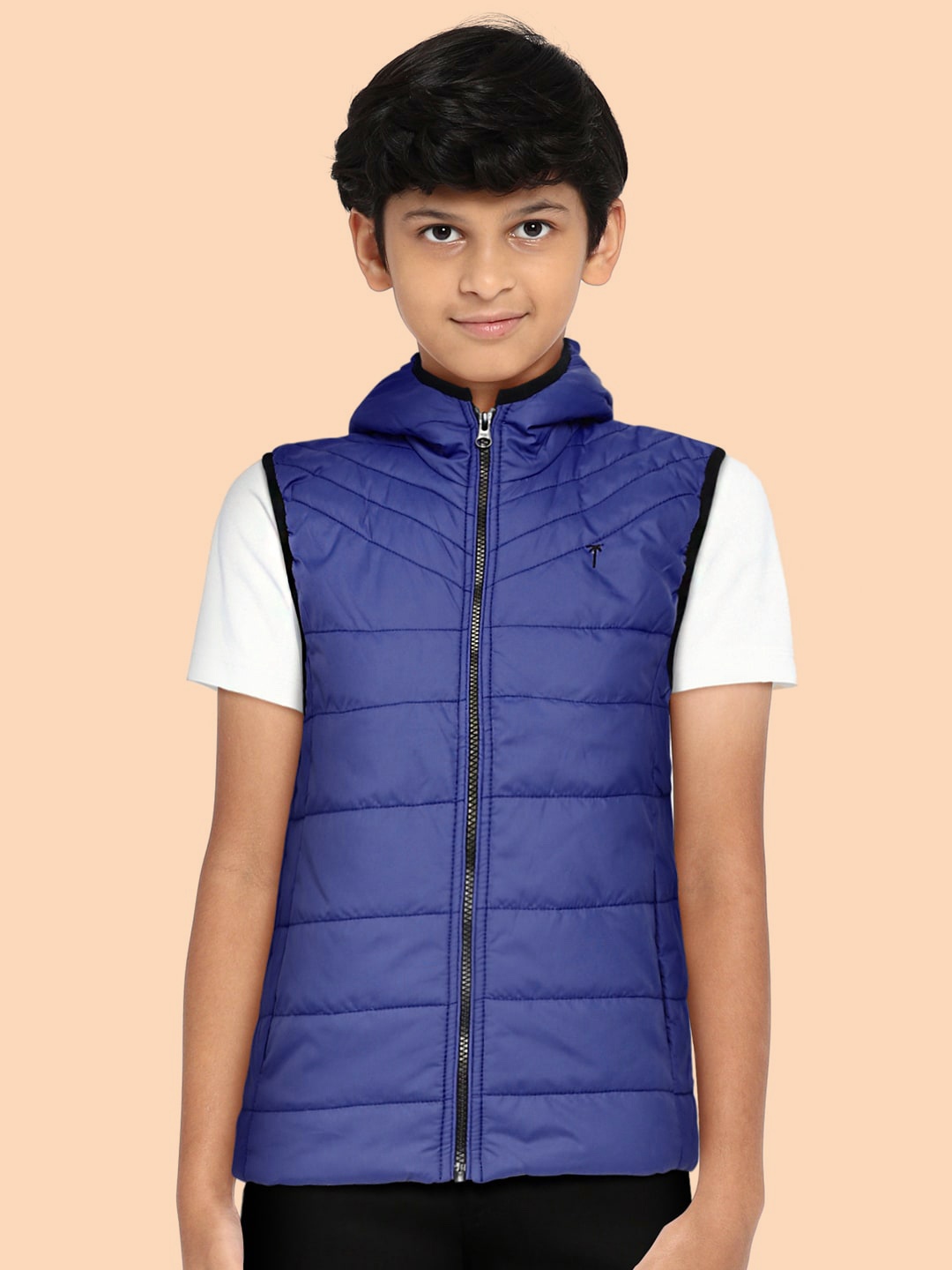 

Palm Tree Boys Blue Solid Hooded Sleeveless Padded Jacket