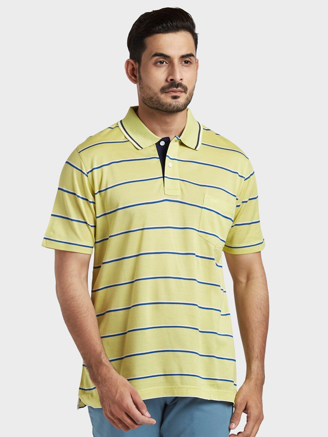 

ColorPlus Men Green Striped Polo Collar T-shirt