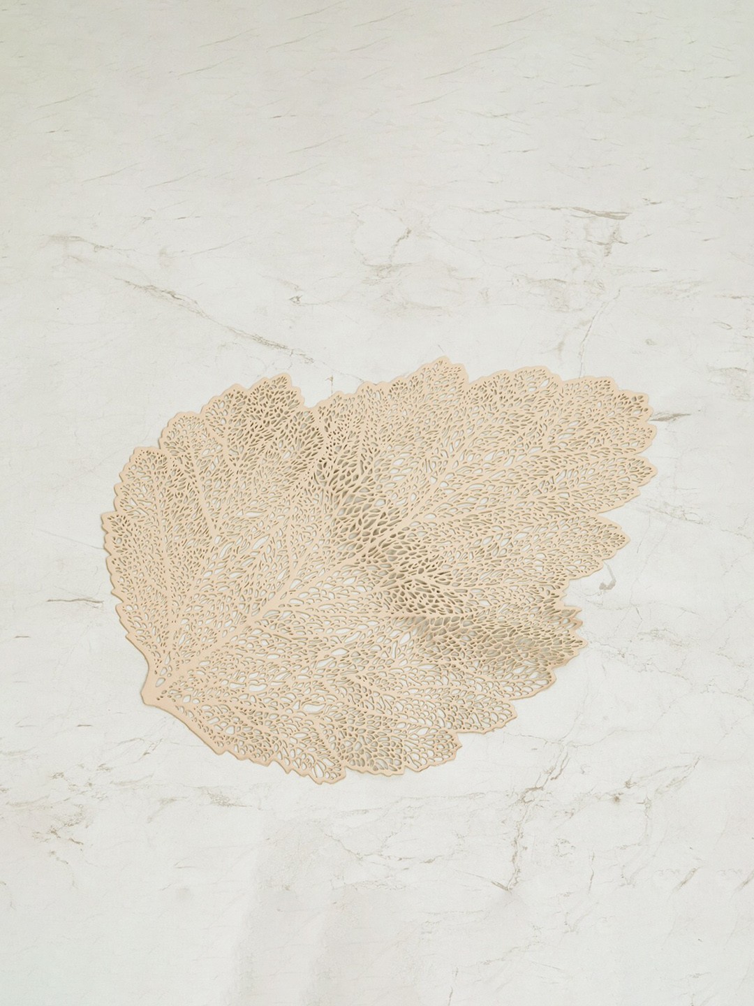 

Home Centre Copper-Toned Cinder Leaf Textured PVC Placemat